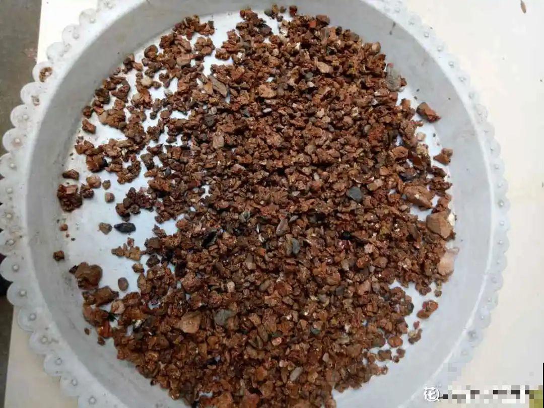 山上松果掉了一地,捡回家一袋子,拿来养花透气性超 山上松果掉了一地,捡回家一袋子,拿来养花透气性超