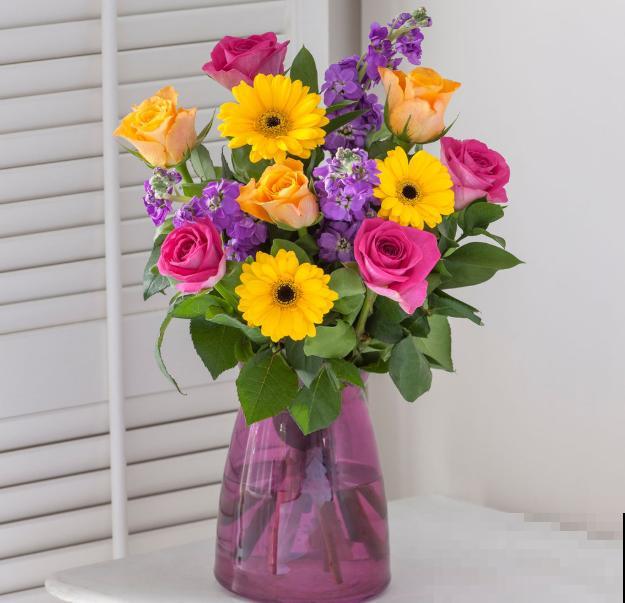 植物也爱“喝”饮料？水里兑点碳酸饮料，花卉越长越旺盛！