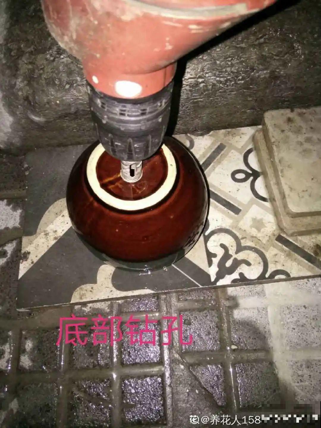 过年的酒瓶子，千万别人，切2刀做花盆，好看又省钱