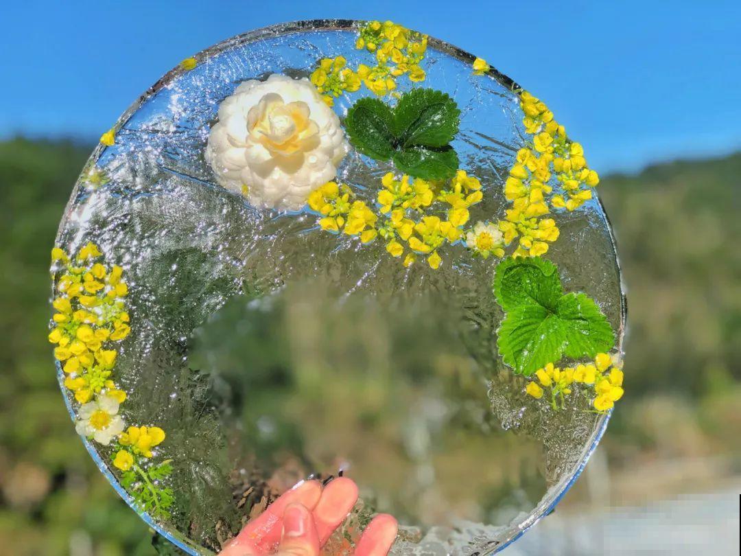 水里摆上花朵，室外冻一冻，简直美翻了！