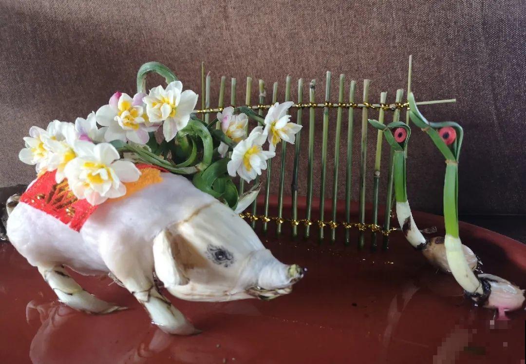 牙签串大蒜，冒充七彩水仙？千万别上当！