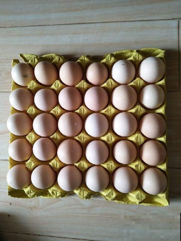 常见的5种蛋，营养成分天差地别，别吃错了！
