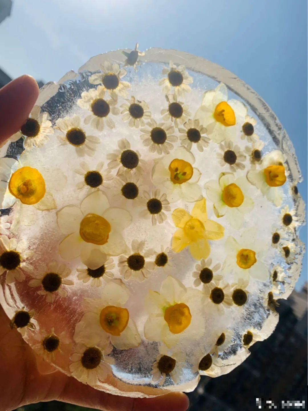 水里摆上花朵，室外冻一冻，简直美翻了！