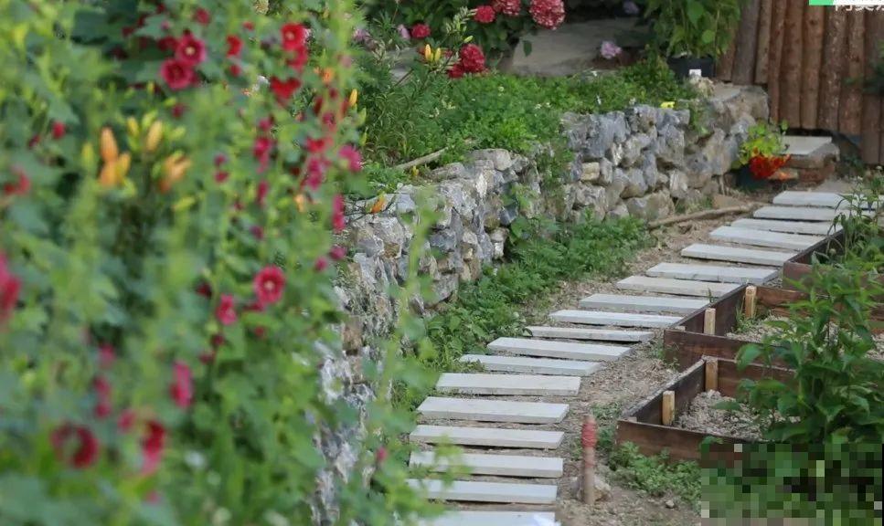 3年的时间，老院子变成大花园，过上塔莎奶奶一样的日子！