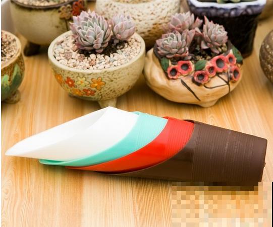 家里养多肉，这4养工具不能少，太实用了！