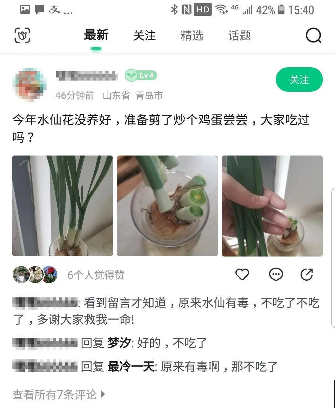 花长得像蔬菜，那也不能吃，有毒的！