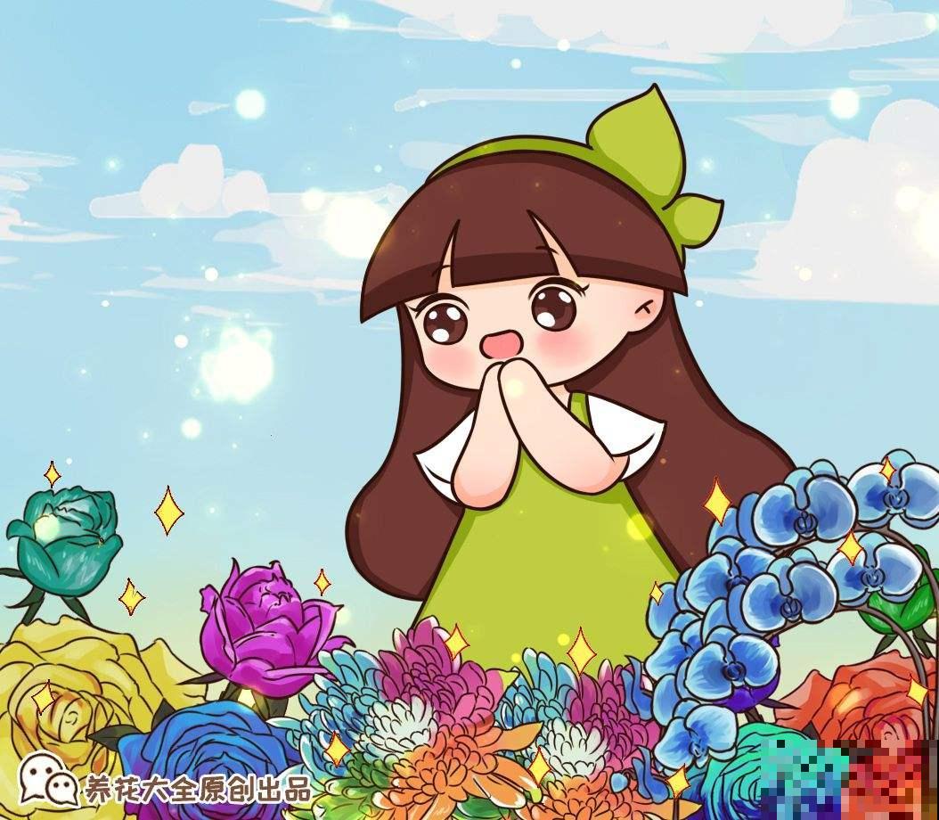 花色丰富的洋桔梗，做好这4点，再也不怕养不好了！