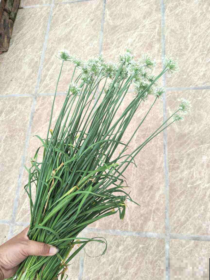 4种蔬菜润肠通便，常吃改善便秘，比吃药健康