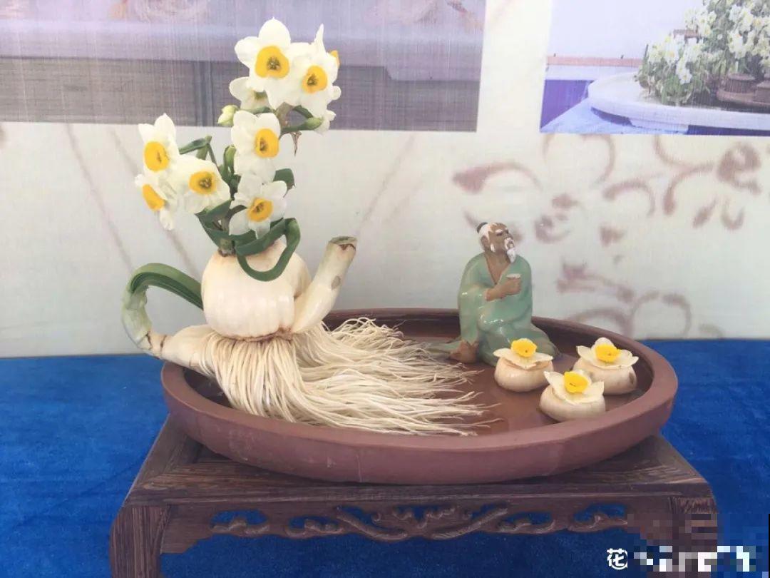 牙签串大蒜，冒充七彩水仙？千万别上当！