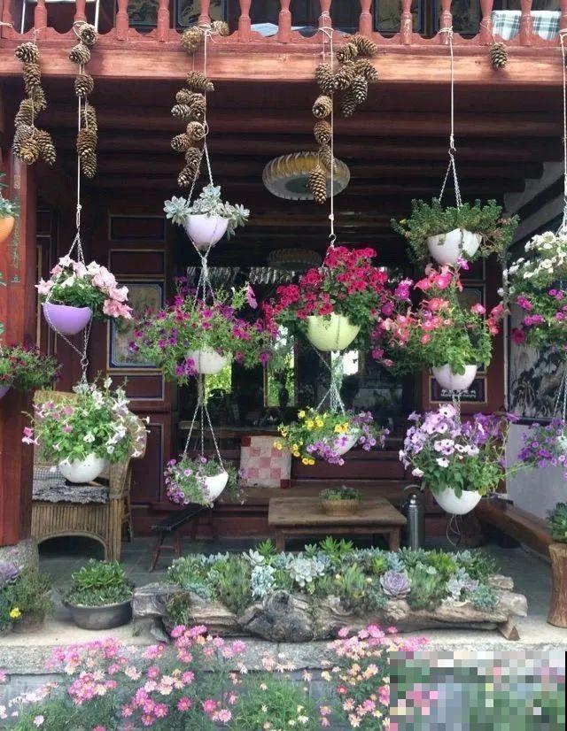 山上的尼姑庵,只养花不烧香,看完想出家 山上的尼姑庵,只养花不烧香,看完想出家