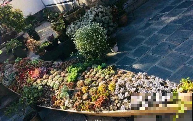 山上的尼姑庵,只养花不烧香,看完想出家 山上的尼姑庵,只养花不烧香,看完想出家