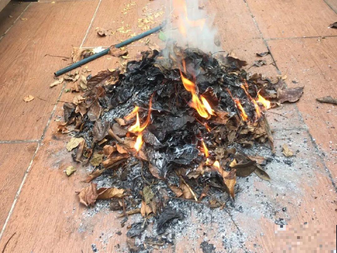 10个养花偏方,一般人我不告诉他,养花太好用 10个养花偏方,一般人我不告诉他,养花太好用