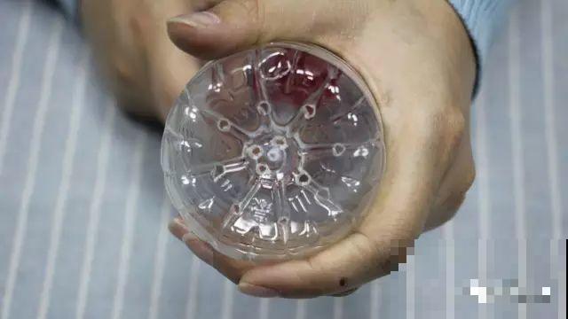 现在扦插超好活，剪根枝，捂3天，冒出狗牙根！