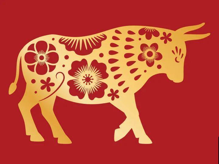 2021，十二生肖的运势，养什么花最旺？