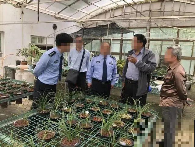 千万不要动我的花,以免赔的倾家荡产! 千万不要动我的花,以免赔的倾家荡产!