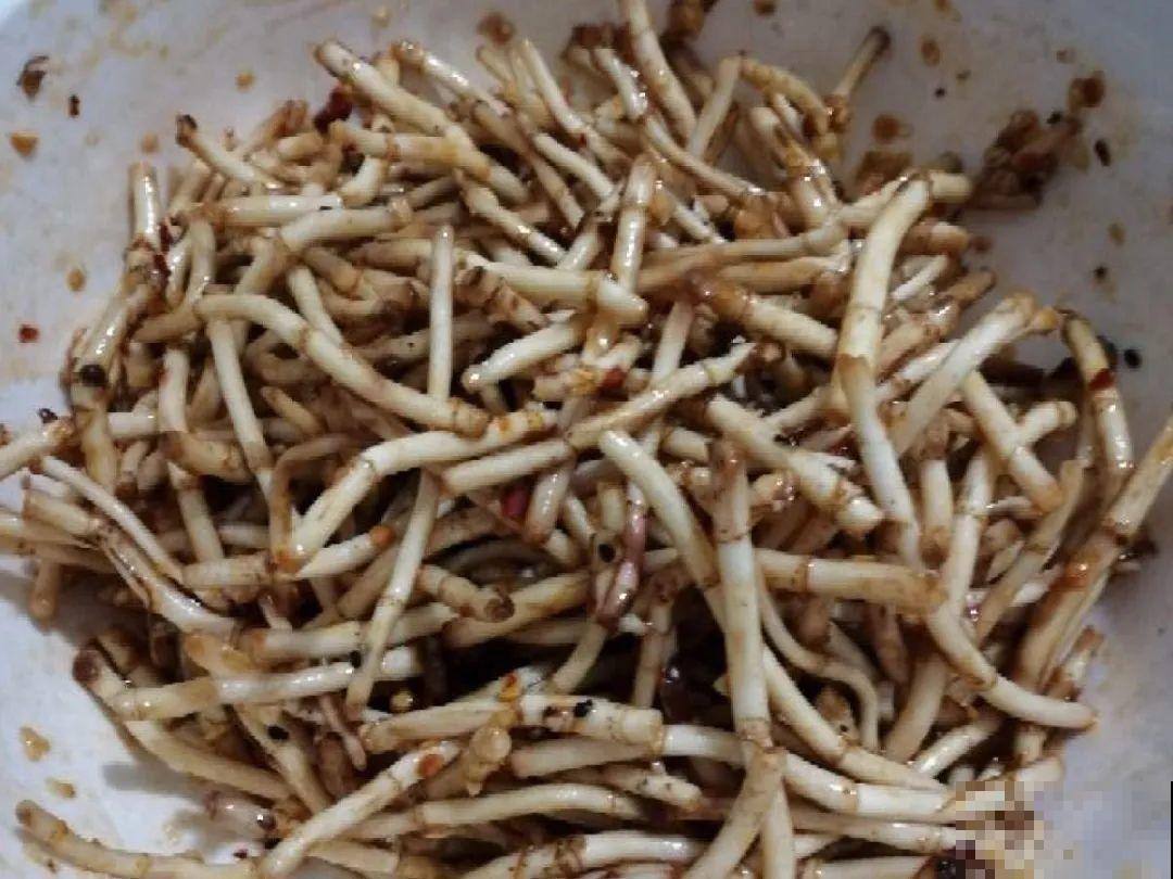 8种草是下火草药，农村最多，城市少见