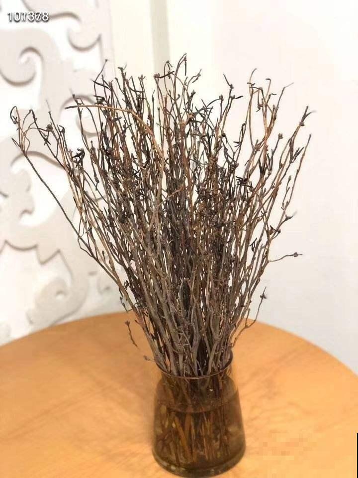 干枝杜鹃不能买，罪恶产业链，没有买卖就没有盗采