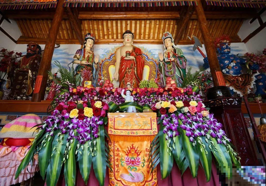 山上的尼姑庵,只养花不烧香,看完想出家 山上的尼姑庵,只养花不烧香,看完想出家