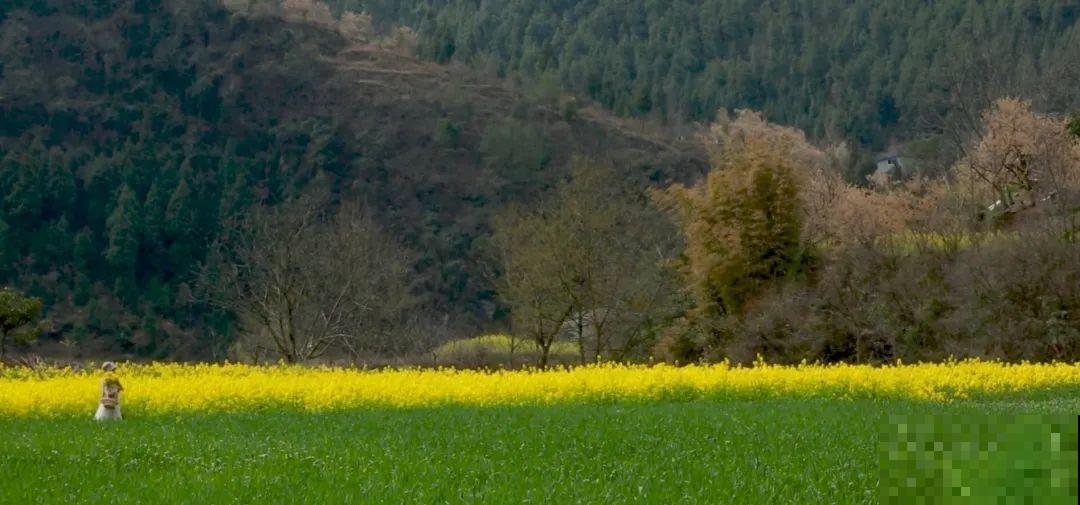 3年的时间，老院子变成大花园，过上塔莎奶奶一样的日子！