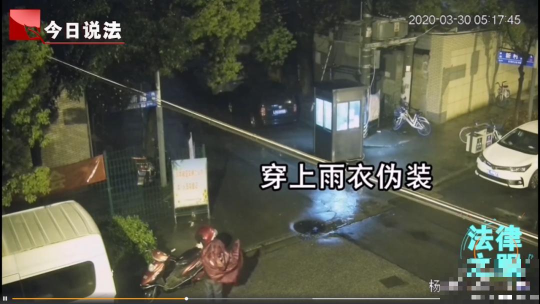 千万不要动我的花,以免赔的倾家荡产! 千万不要动我的花,以免赔的倾家荡产!