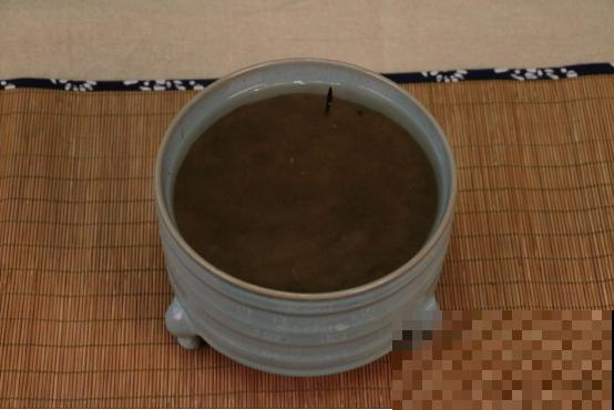 春天给花分株，1盆变成多盆，很快爆盆