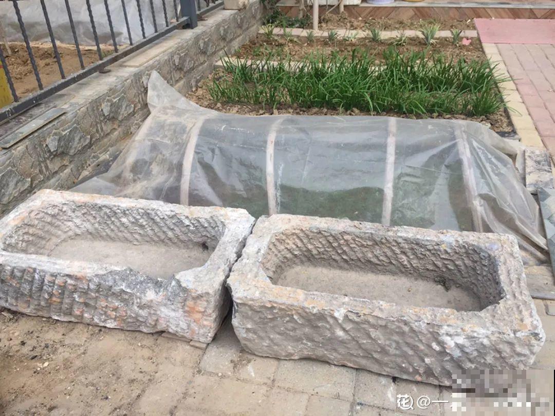 路边别人丢的大花盆，看着眼馋，好想捡回家