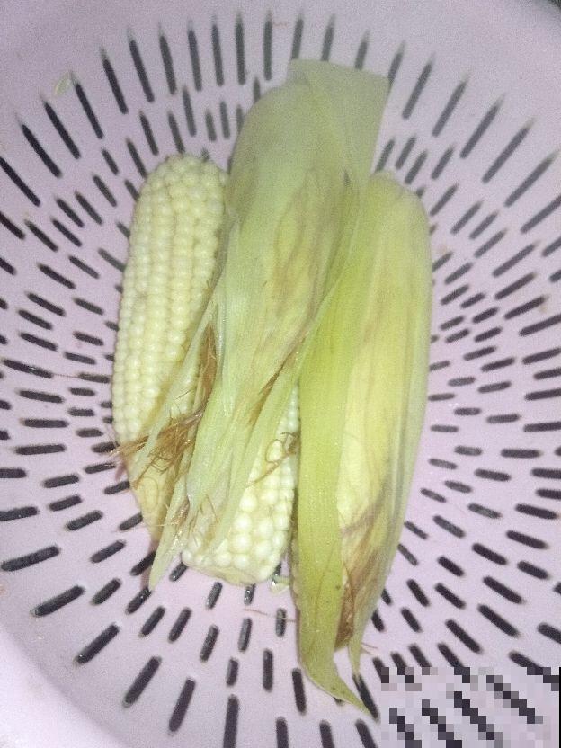 玉米种类越来越多,都有什么区别?选对了才能吃得健康 玉米种类越来越多,都有什么区别?选对了才能吃得健康