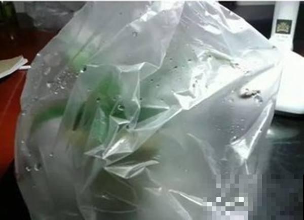 废弃塑料袋堆成山？囤起来养花，效果非常好！