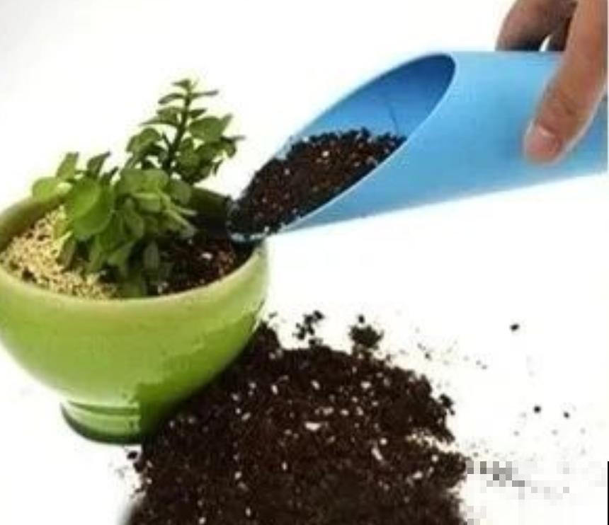 家里养多肉，这4养工具不能少，太实用了！