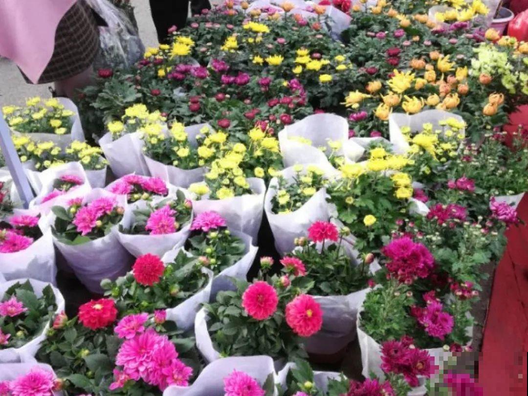 还有一个月过年！腊月的习俗，你知道几个？