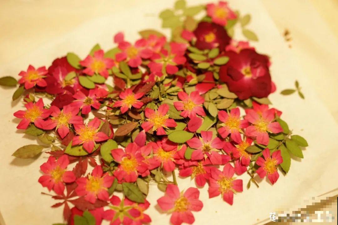 干花制作方法，学会了超实用，留住花儿美好