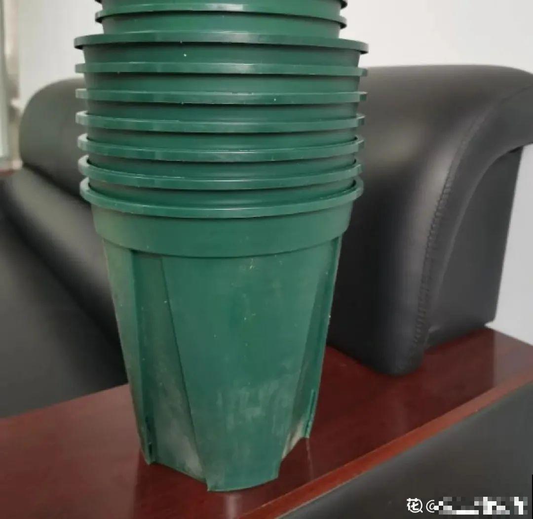 选不对花盆，啥花都被你养死了！