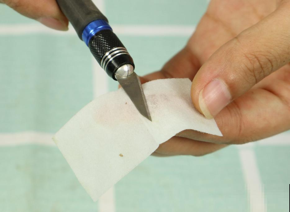 养护蟹爪兰,要注意8个要点,才能开出仙气飘飘花 养护蟹爪兰,要注意8个要点,才能开出仙气飘飘花