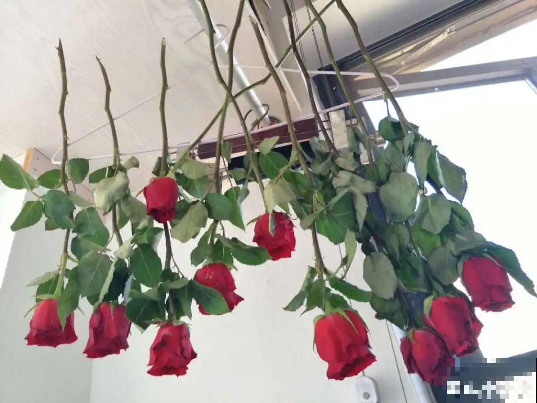 干花制作方法，学会了超实用，留住花儿美好
