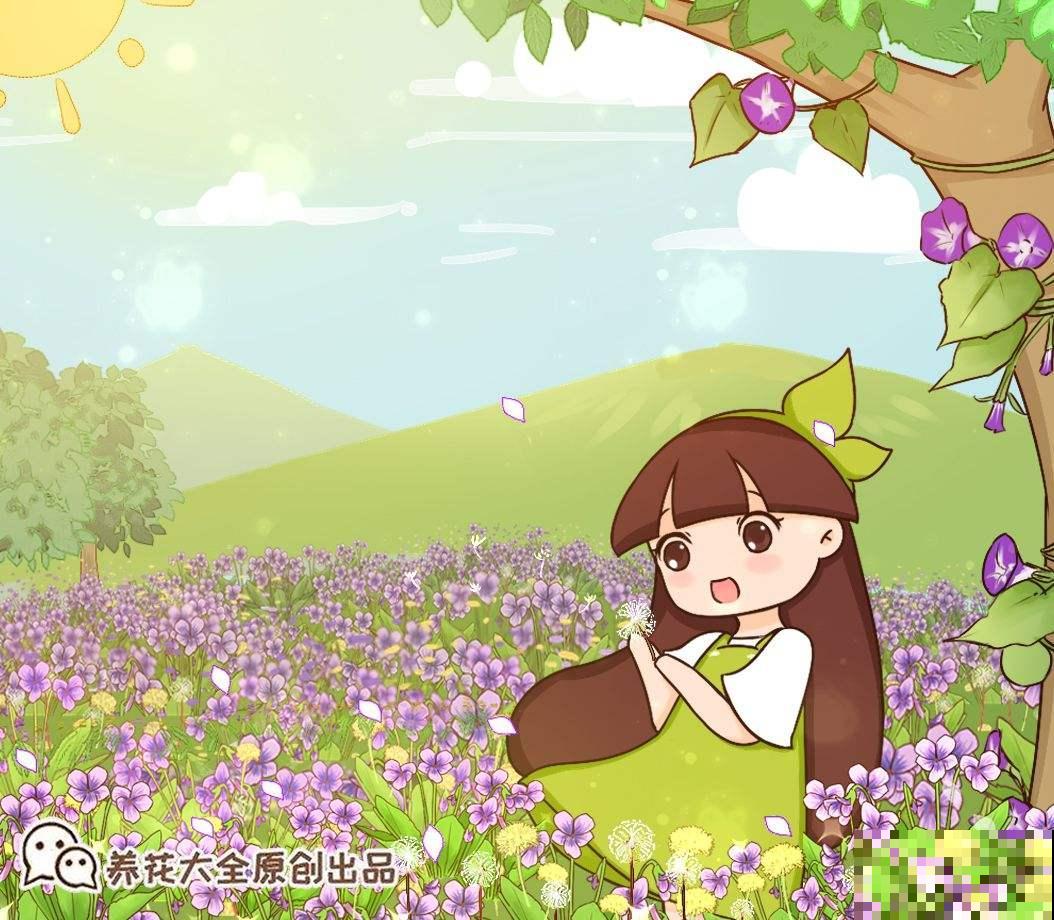 4种“去火”草，农村最多，现在越挖越少