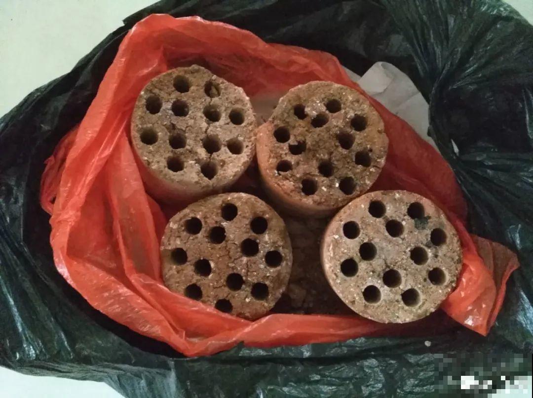 路边别人丢的大花盆，看着眼馋，好想捡回家