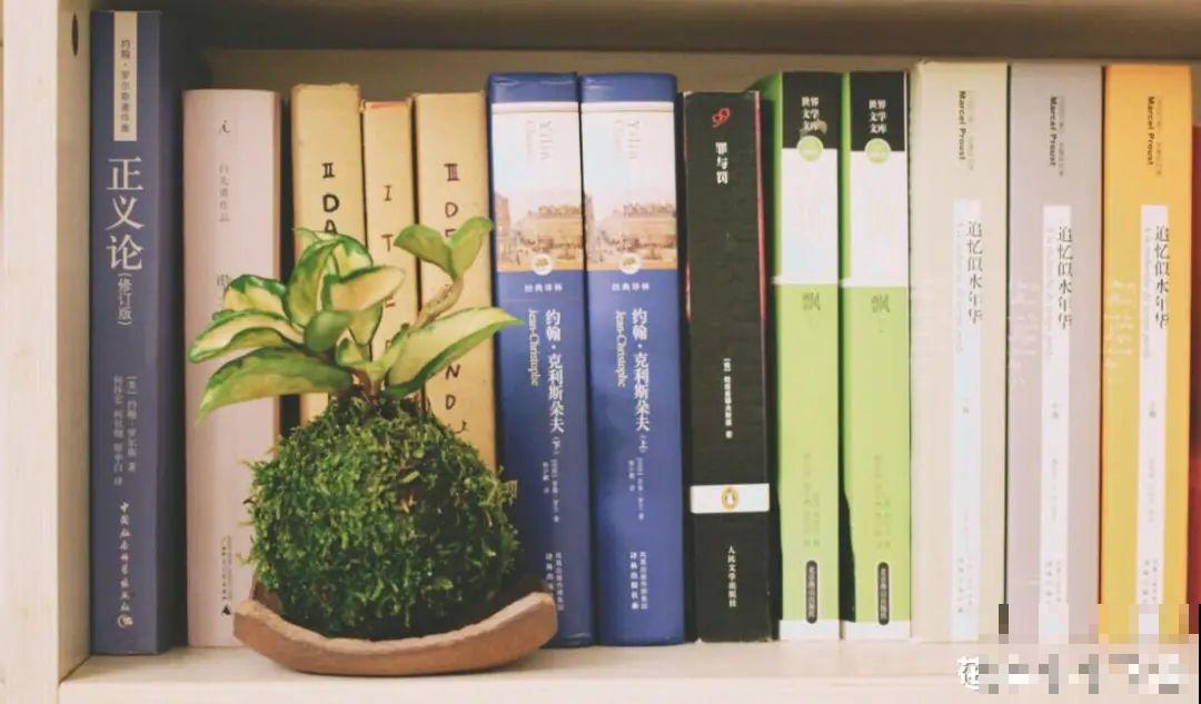 年纪轻轻，养点花种点草，提前过过养老生活