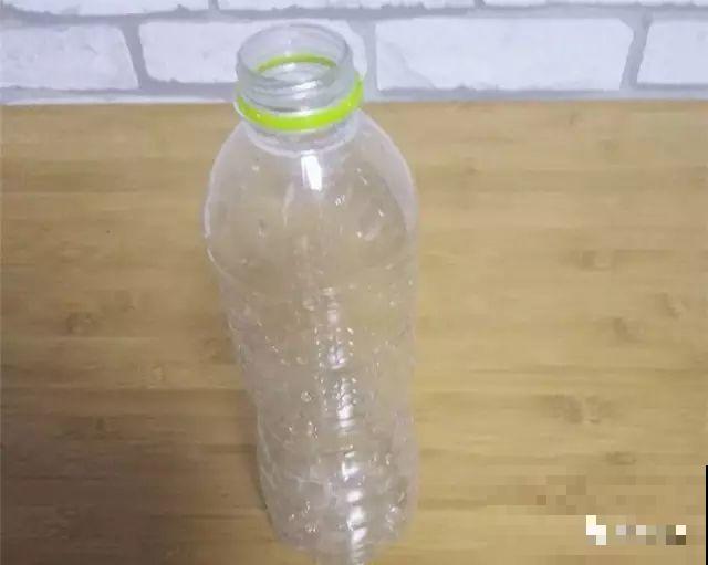 现在扦插超好活，剪根枝，捂3天，冒出狗牙根！