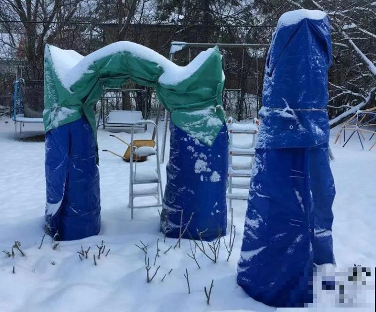 10个养花偏方,一般人我不告诉他,养花太好用 10个养花偏方,一般人我不告诉他,养花太好用