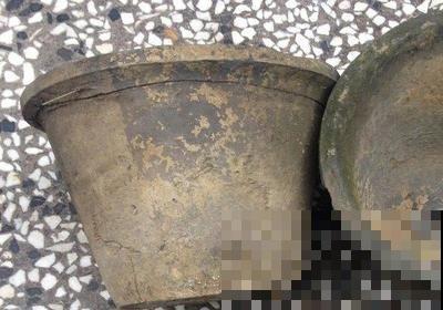 养花选盆很关键!选不好花盆,养再多花也没用! 养花选盆很关键!选不好花盆,养再多花也没用!