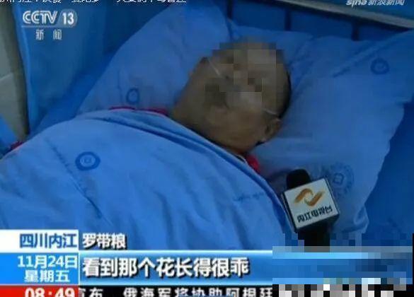 医院铁树结果，却被摘走30颗，园丁师傅吓坏了！