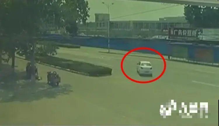 千万不要动我的花,以免赔的倾家荡产! 千万不要动我的花,以免赔的倾家荡产!