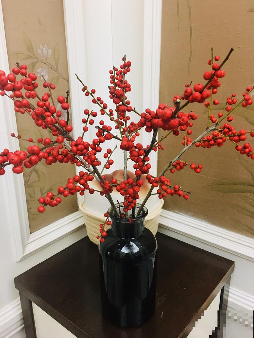 家里养4种花，气质格调一样不少，就是贵！