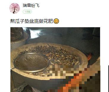 家里的花生壳别丢，拿来养花效果好，根系太旺盛