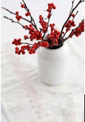 年宵花就选北美冬青，春节在家里放一盆，红红火火日子旺！