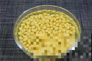 养花不用买肥料，在家自制氮肥，叶片油绿长得快！