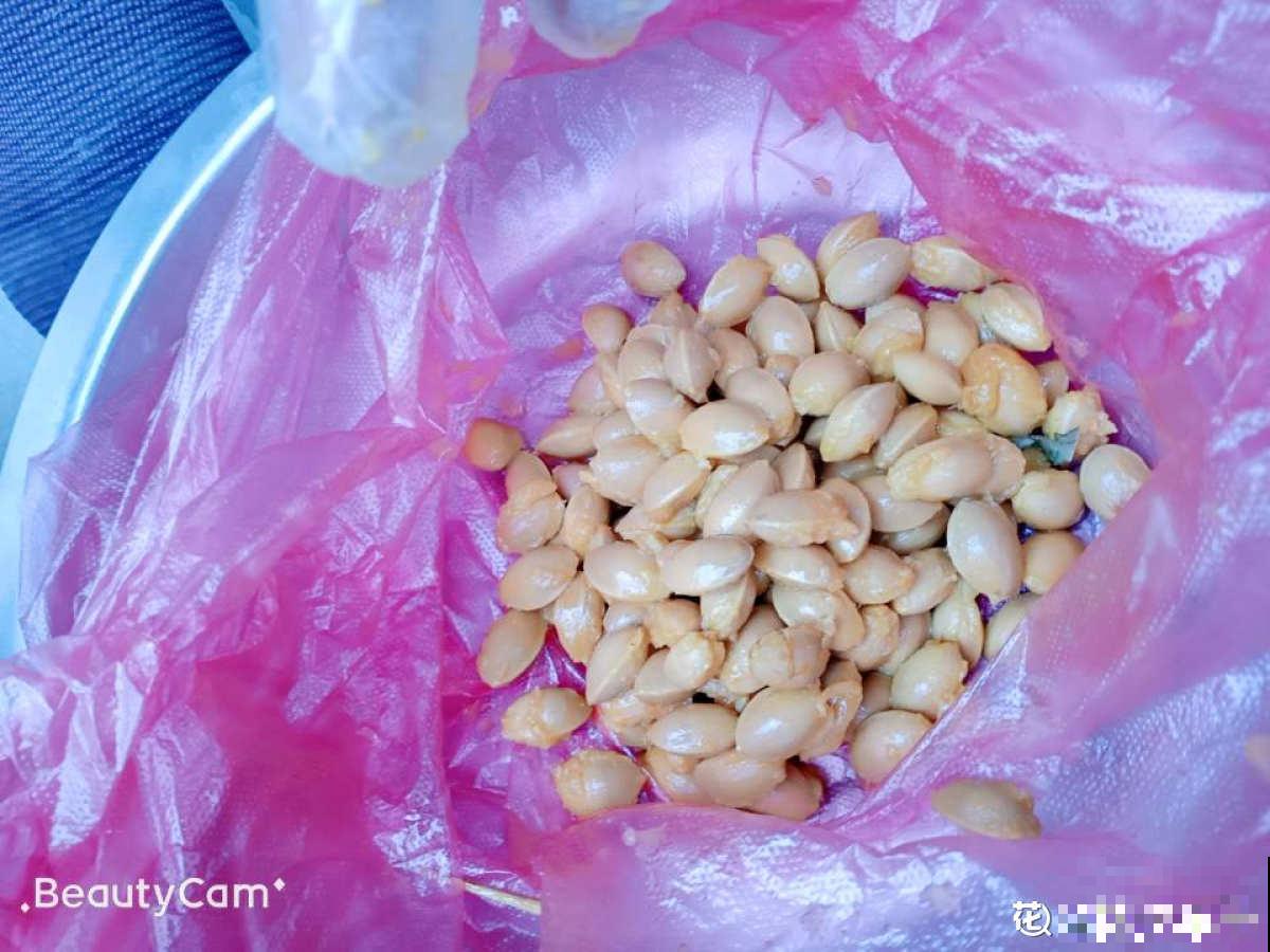 白果挂满银杏树枝头，有人说大补，有人说有毒，到底能不能吃？