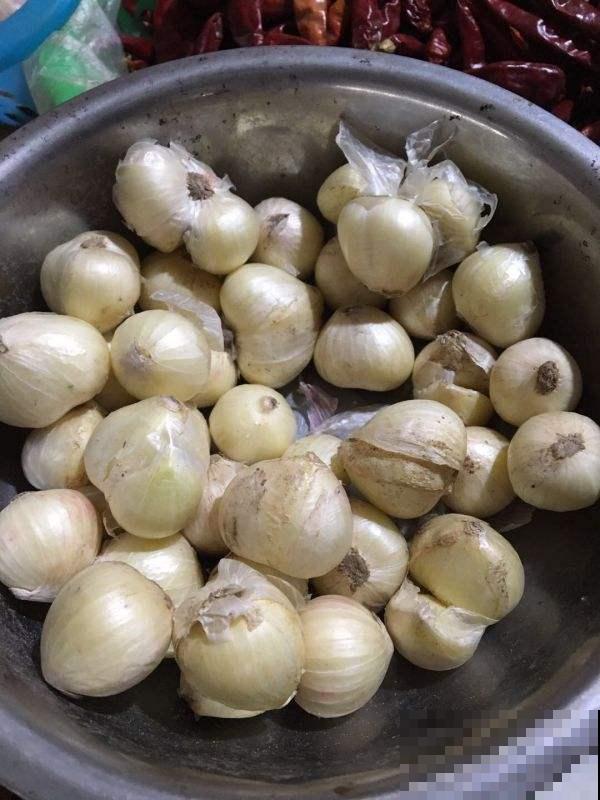 在吃大蒜这件事上，为啥北方人爱不释口，南方人一口都不吃？