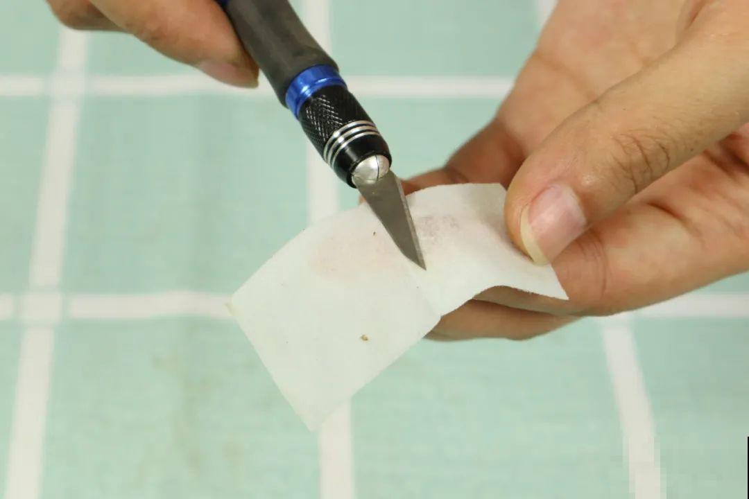 3月是给花剃头的好时机,现在狠心剪,下月就开花 3月是给花剃头的好时机,现在狠心剪,下月就开花