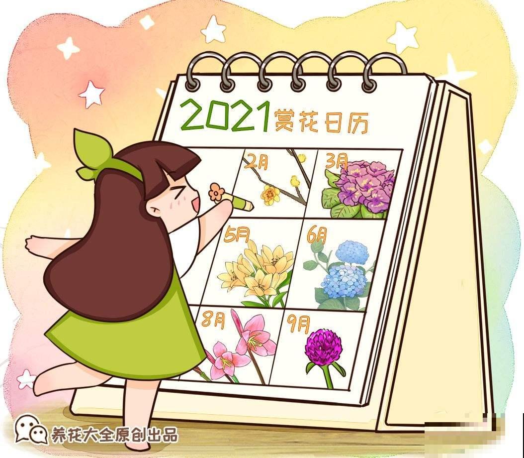 2021赏花时间表，记好这些时间，再也不怕错过花期！